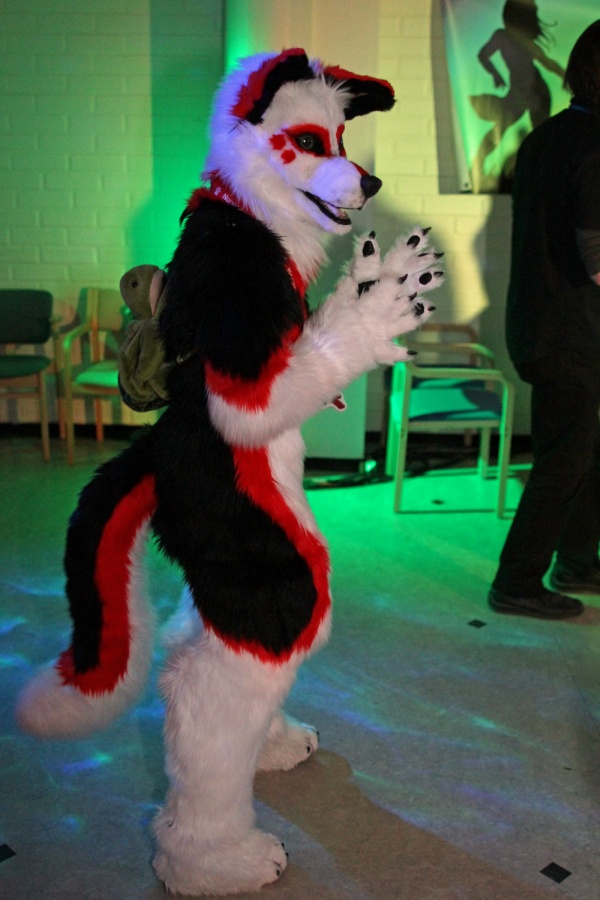 FinFur Animus 2015, Dances