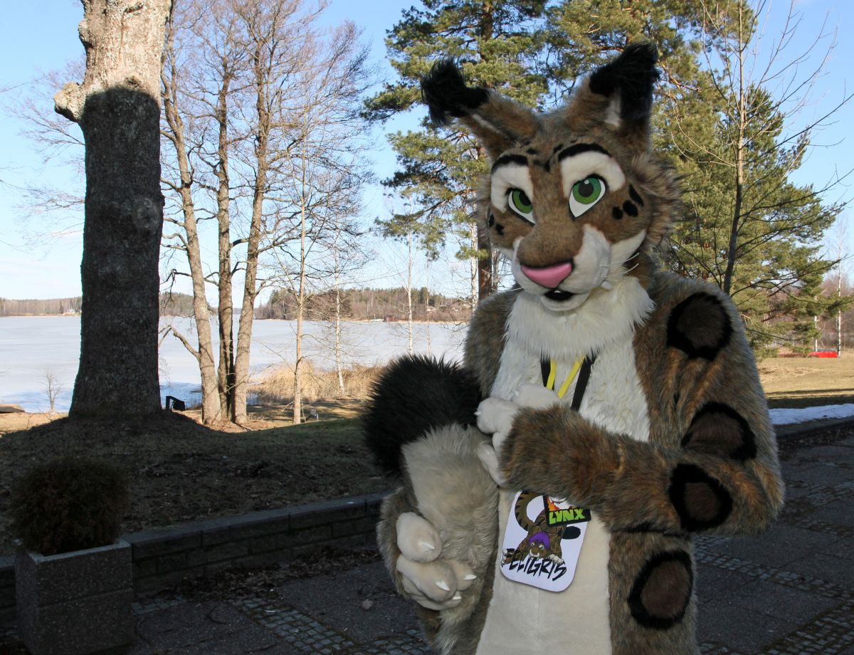 FinFur Animus 2015, Fursuiters