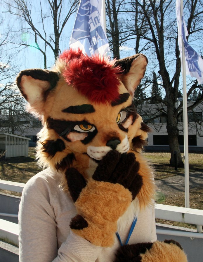 FinFur Animus 2015, Fursuiters