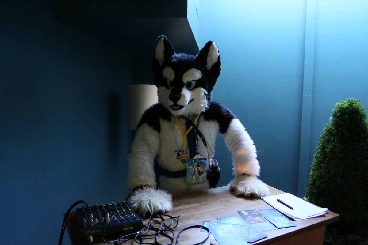 FinFur Animus 2015, Dances