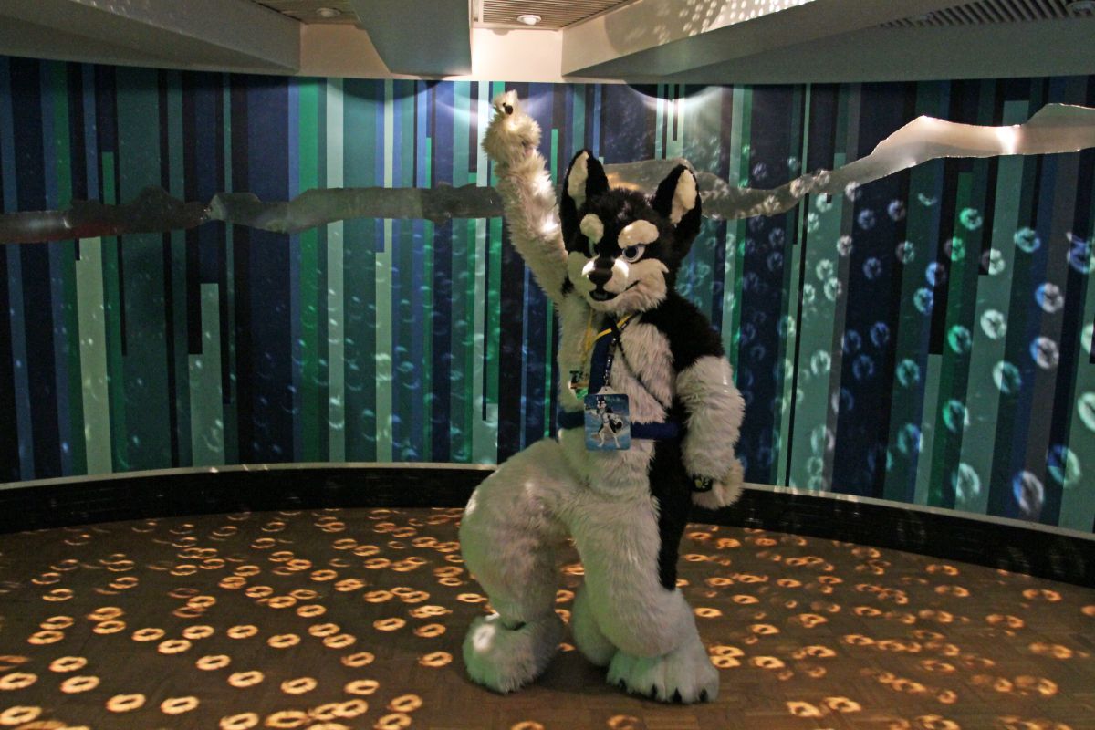 FinFur Animus 2015, Dances