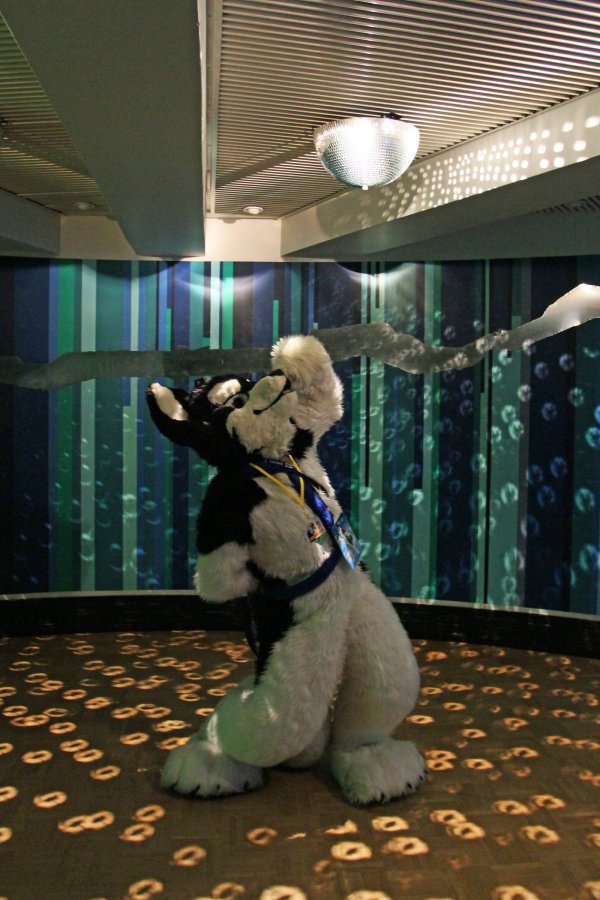 FinFur Animus 2015, Dances