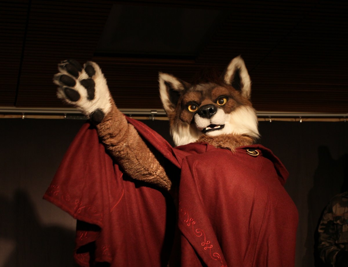 FinFur Animus 2015, Fursuiters