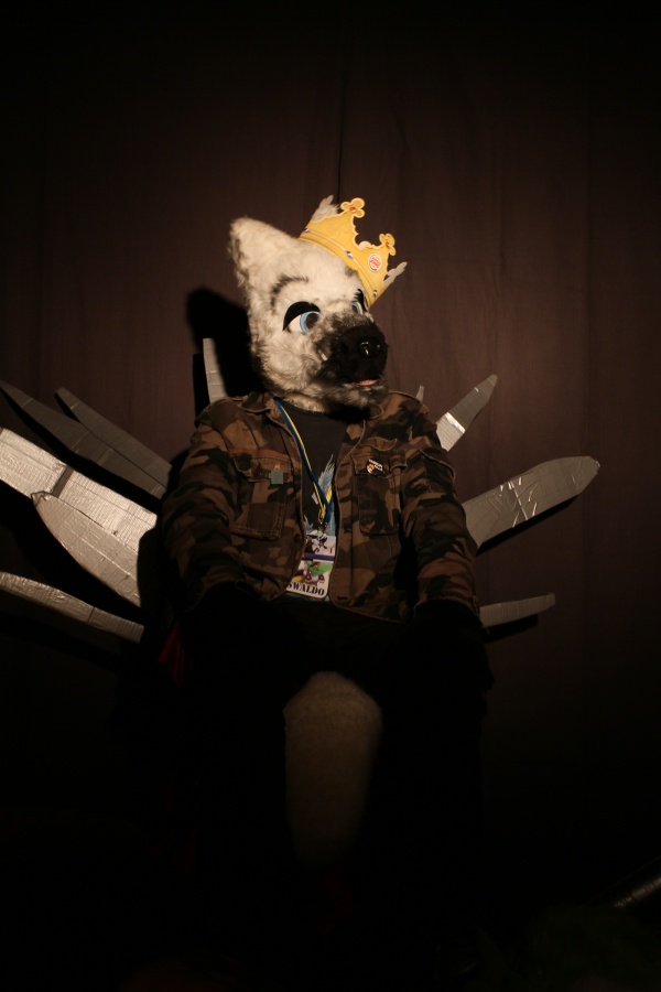 FinFur Animus 2015, Fursuiters