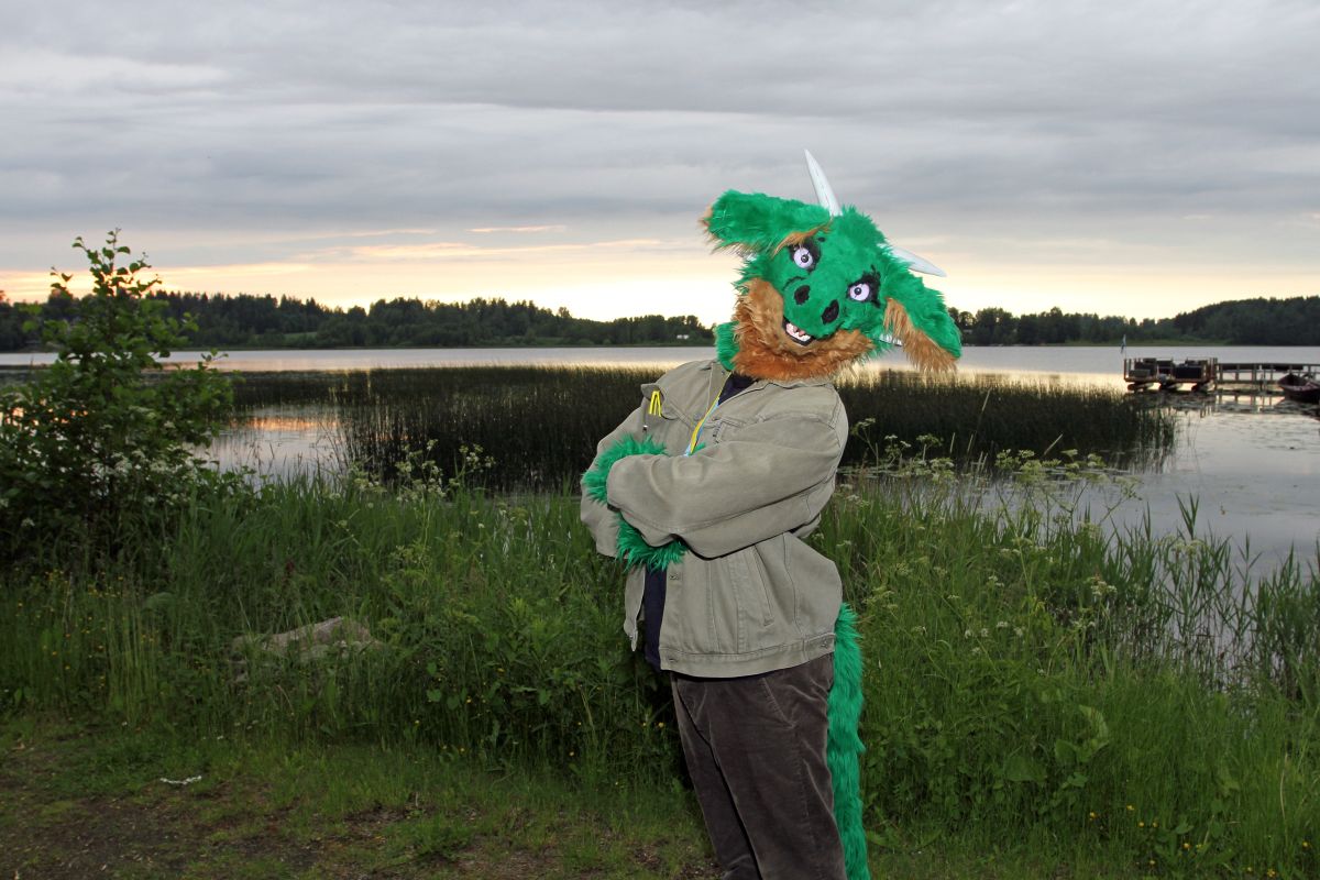 FinFur Animus 2016, Convention photos
