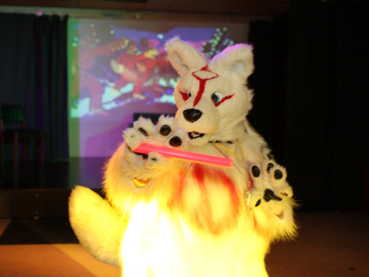 FinFur Animus 2016, Convention photos