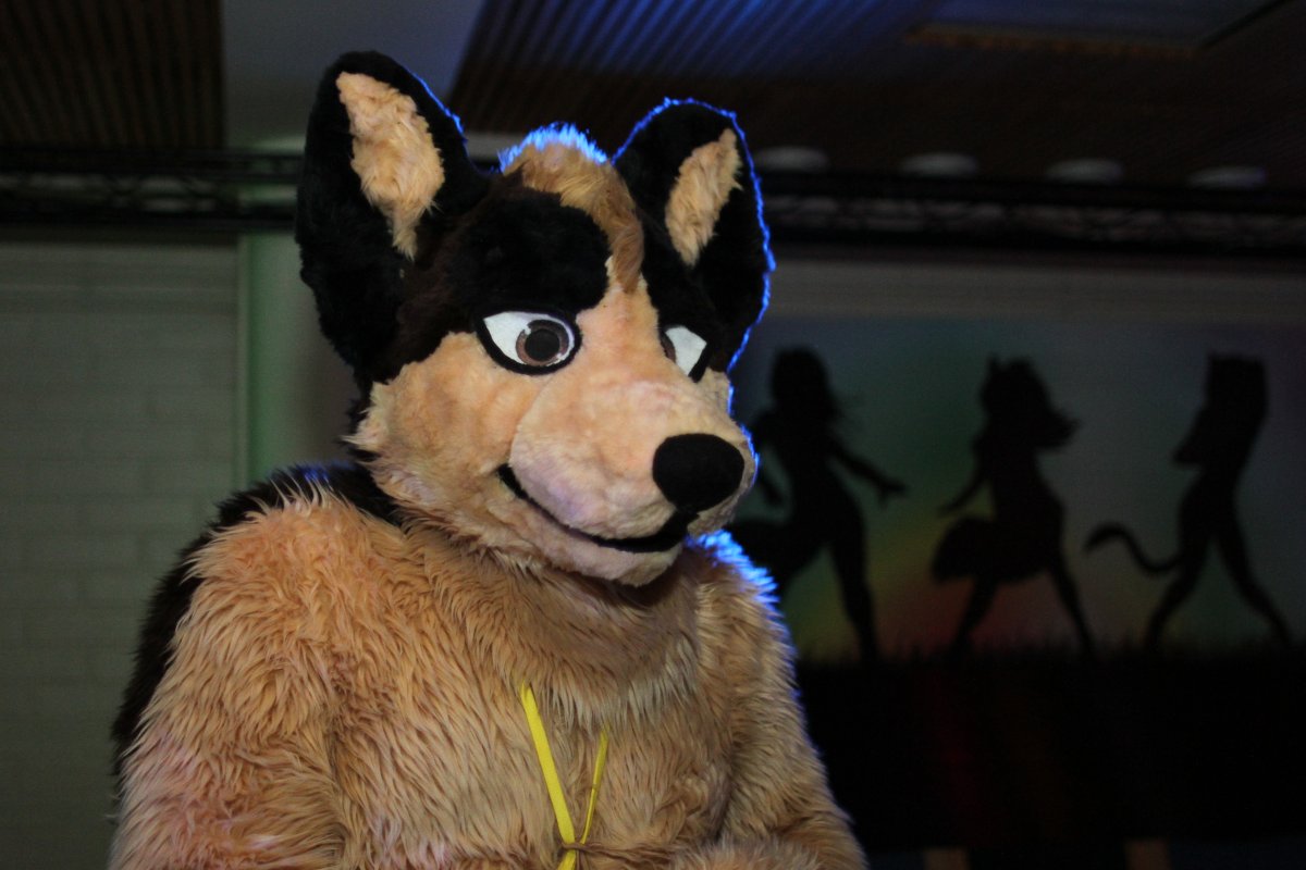 FinFur Animus 2016, Convention photos