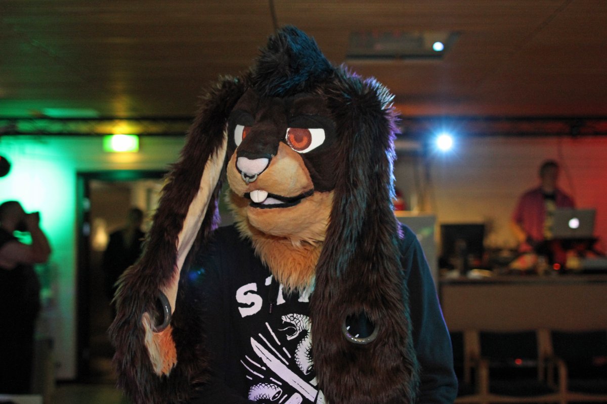 FinFur Animus 2016, Convention photos