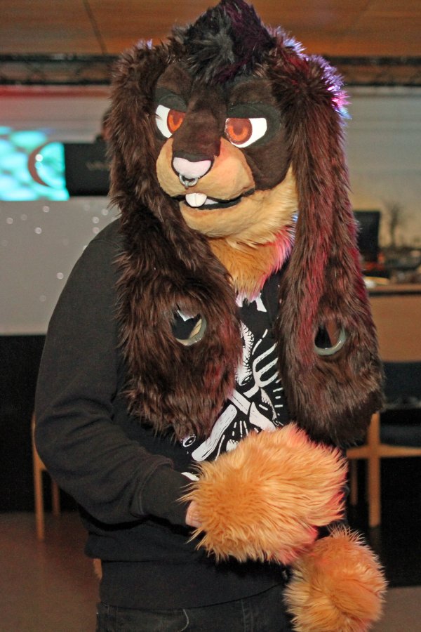 FinFur Animus 2016, Convention photos