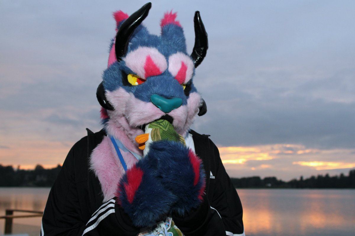 FinFur Animus 2016, Convention photos