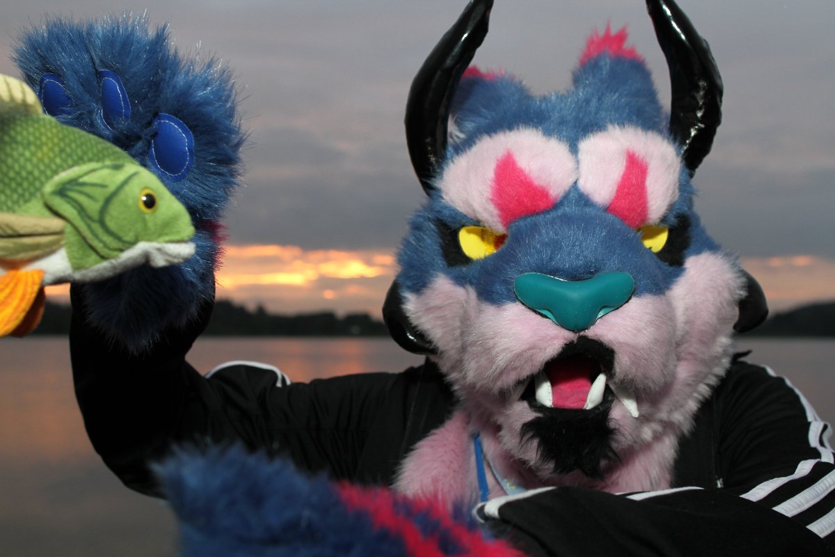 FinFur Animus 2016, Convention photos