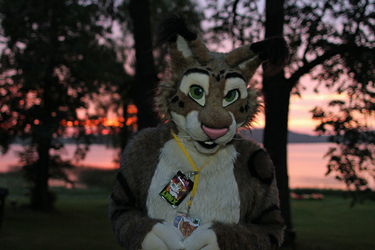 FinFur Animus 2016, Convention photos
