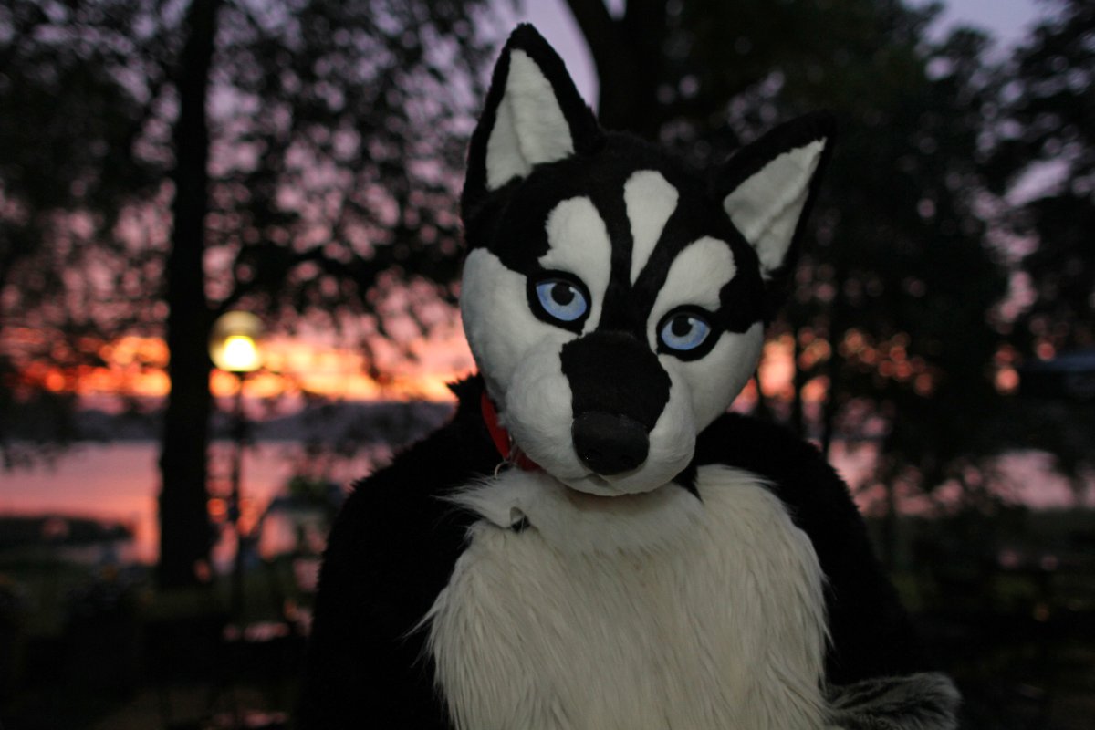 FinFur Animus 2016, Convention photos