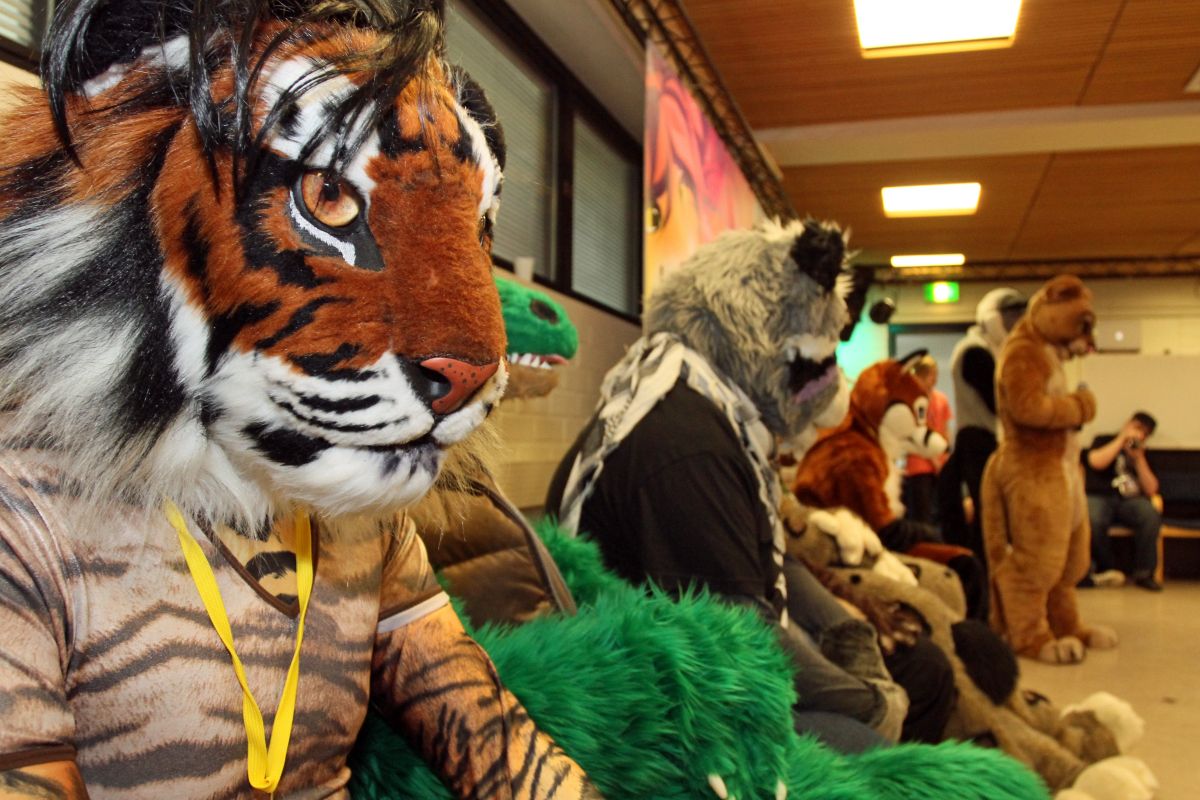 FinFur Animus 2016, Convention photos
