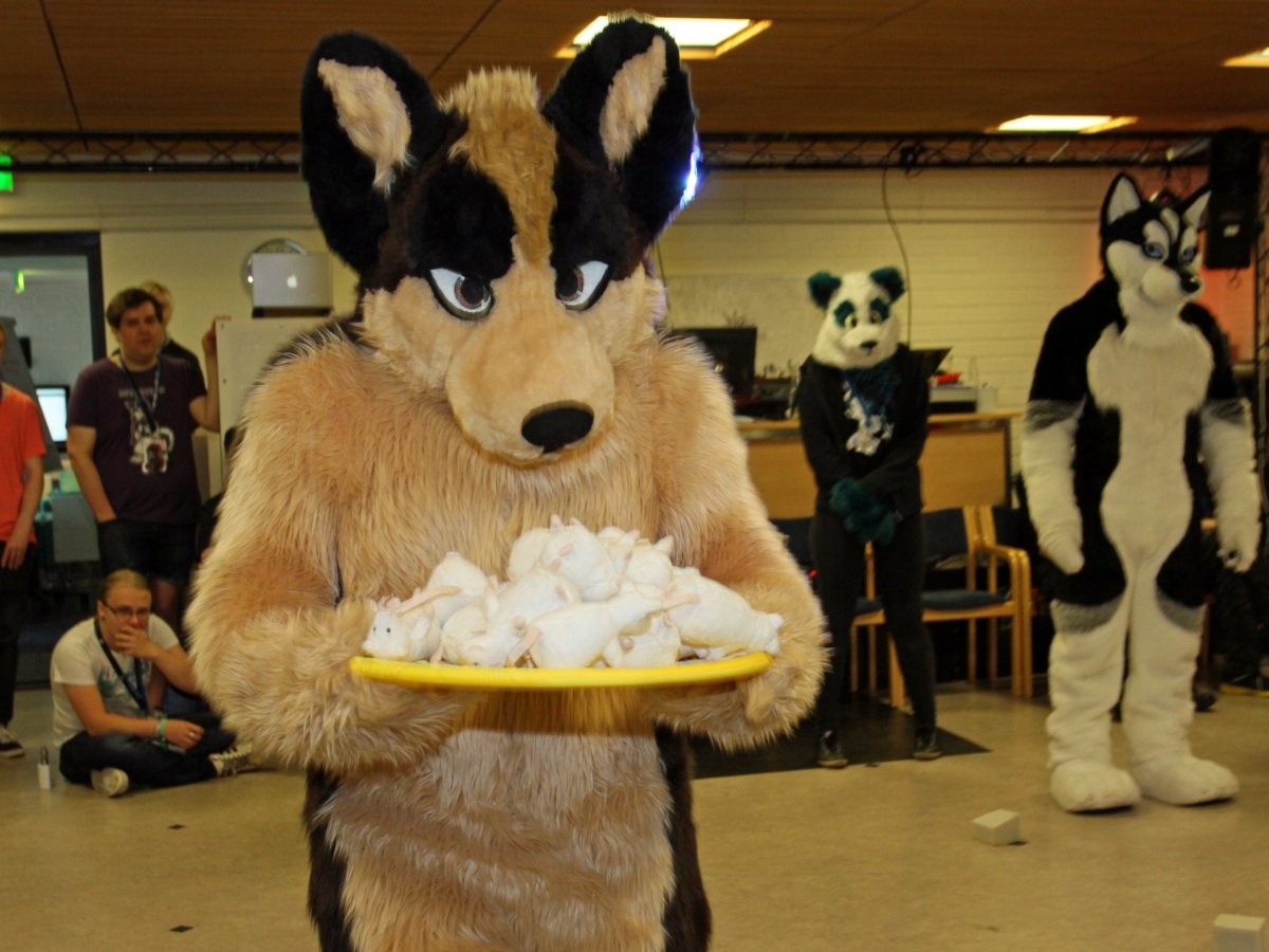 FinFur Animus 2016, Convention photos