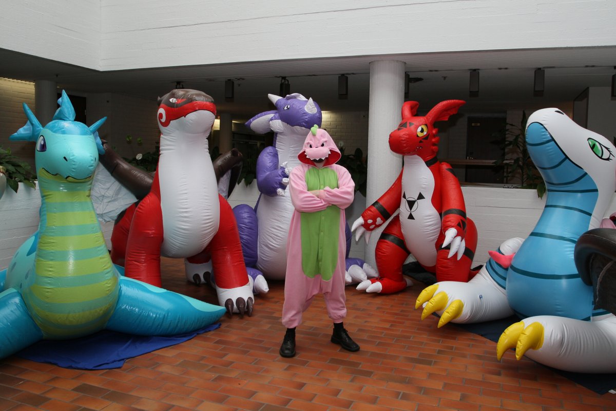FinFur Animus 2016, Convention photos