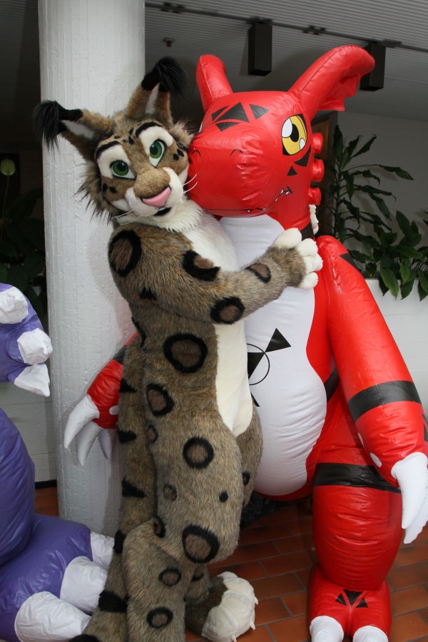 FinFur Animus 2016, Convention photos
