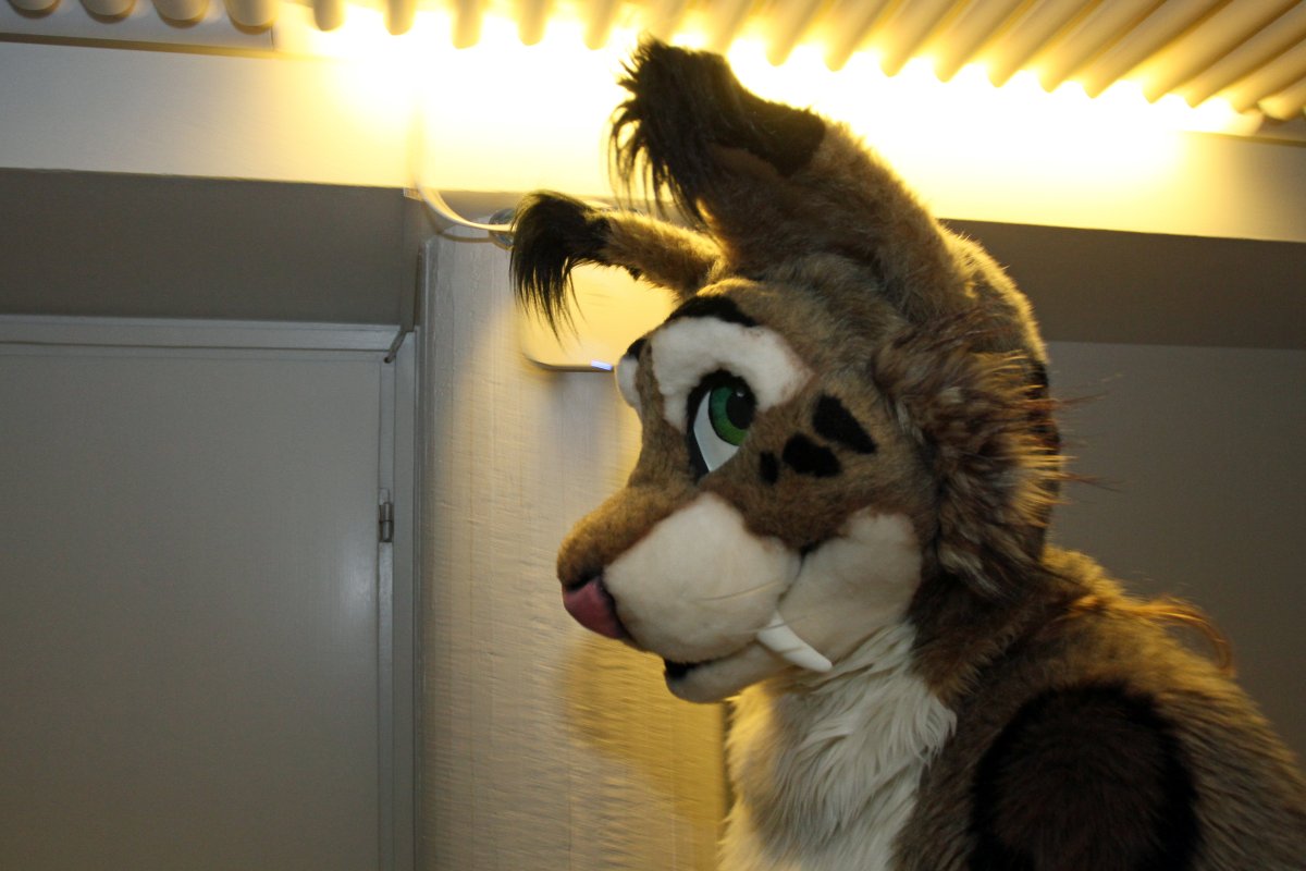 FinFur Animus 2016, Convention photos