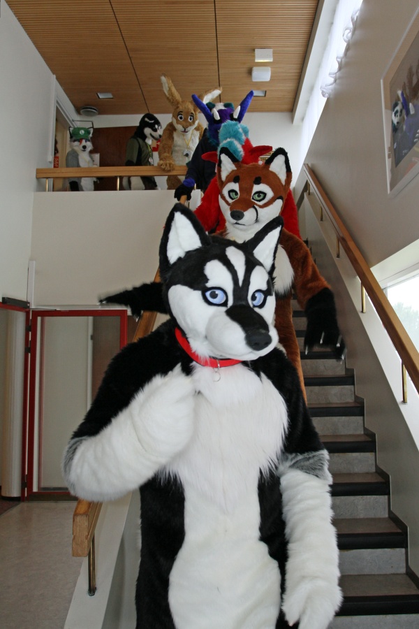 FinFur Animus 2016, Convention photos
