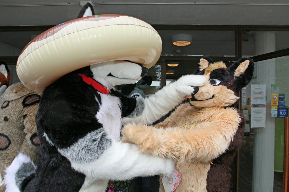 FinFur Animus 2016, Convention photos