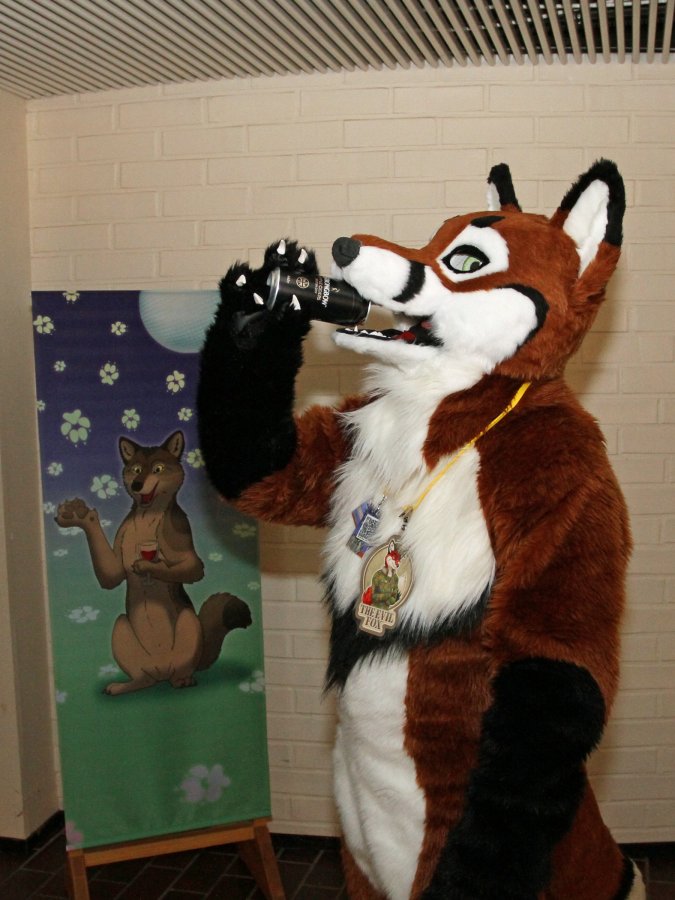 FinFur Animus 2016, Convention photos
