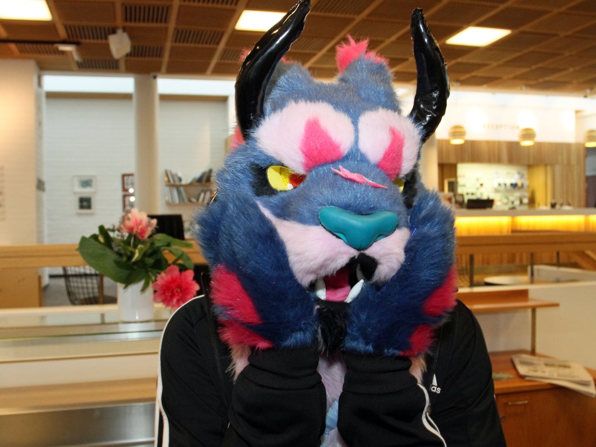 FinFur Animus 2016, Convention photos
