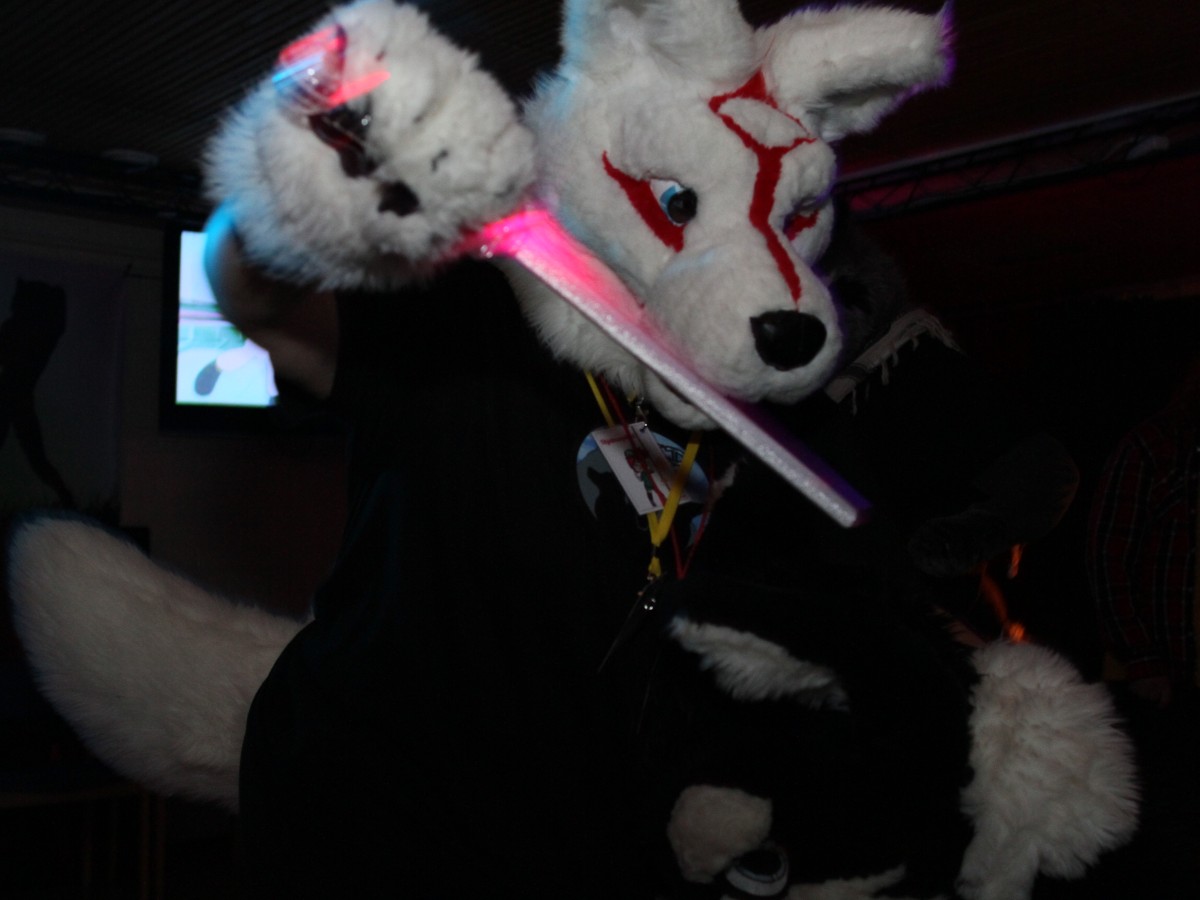 FinFur Animus 2016, Convention photos