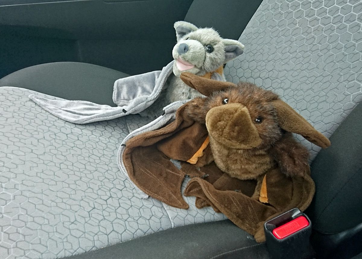 FinFur Animus 2016, Convention photos