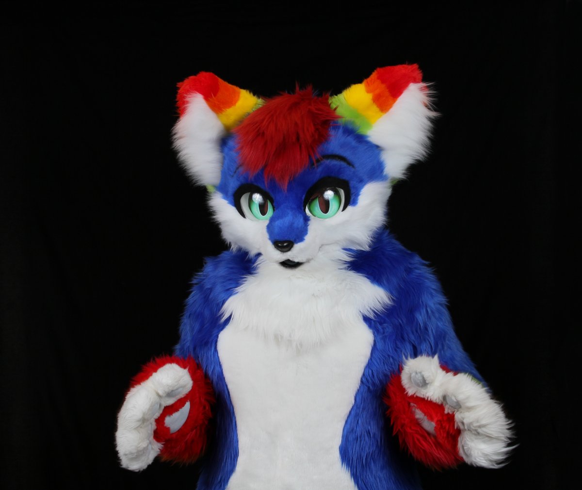 FinFur Animus 2017, Convention