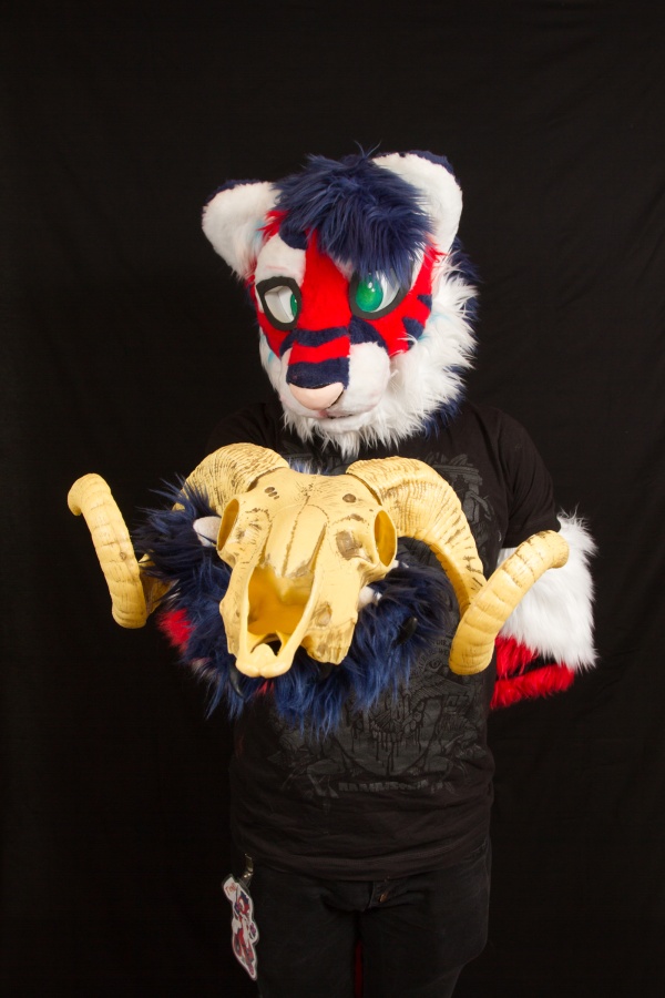 FinFur Animus 2017, Photoshoot