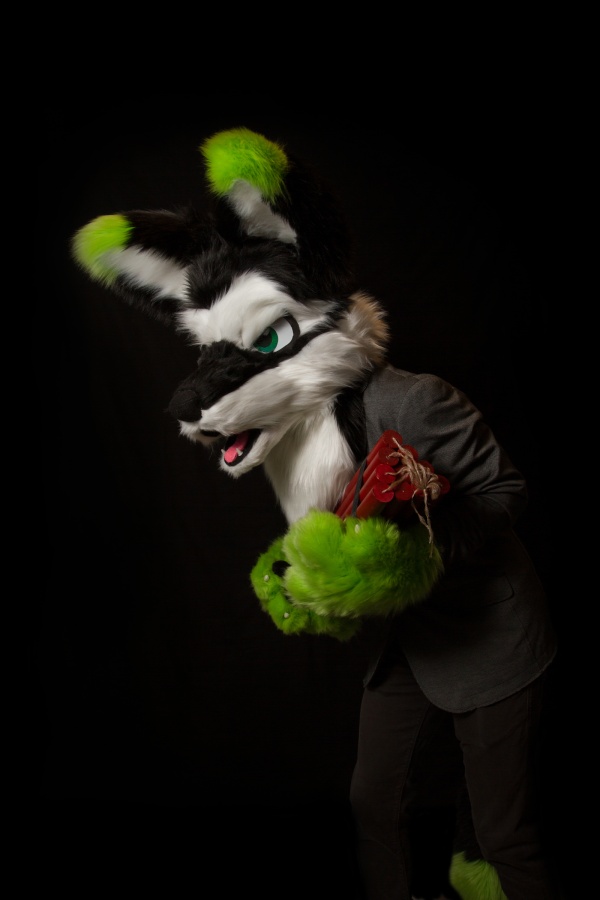 FinFur Animus 2017, Photoshoot