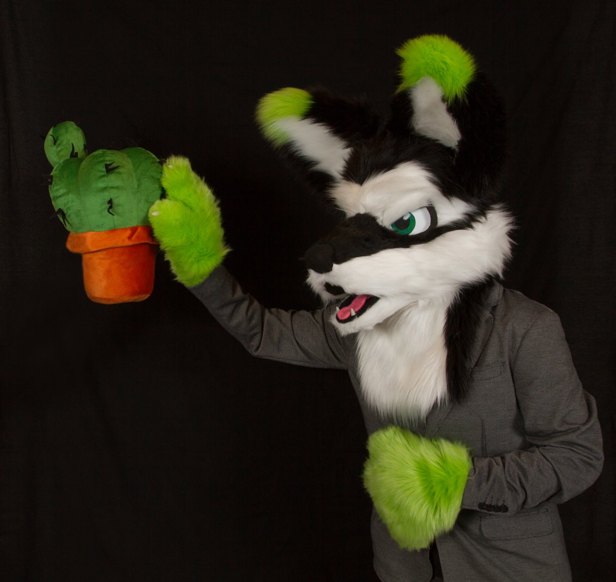 FinFur Animus 2017, Photoshoot