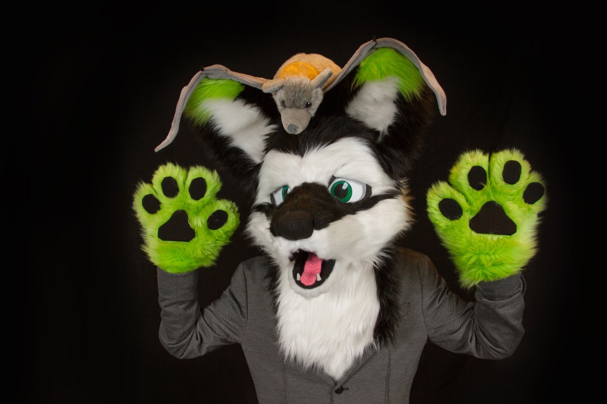 FinFur Animus 2017, Photoshoot