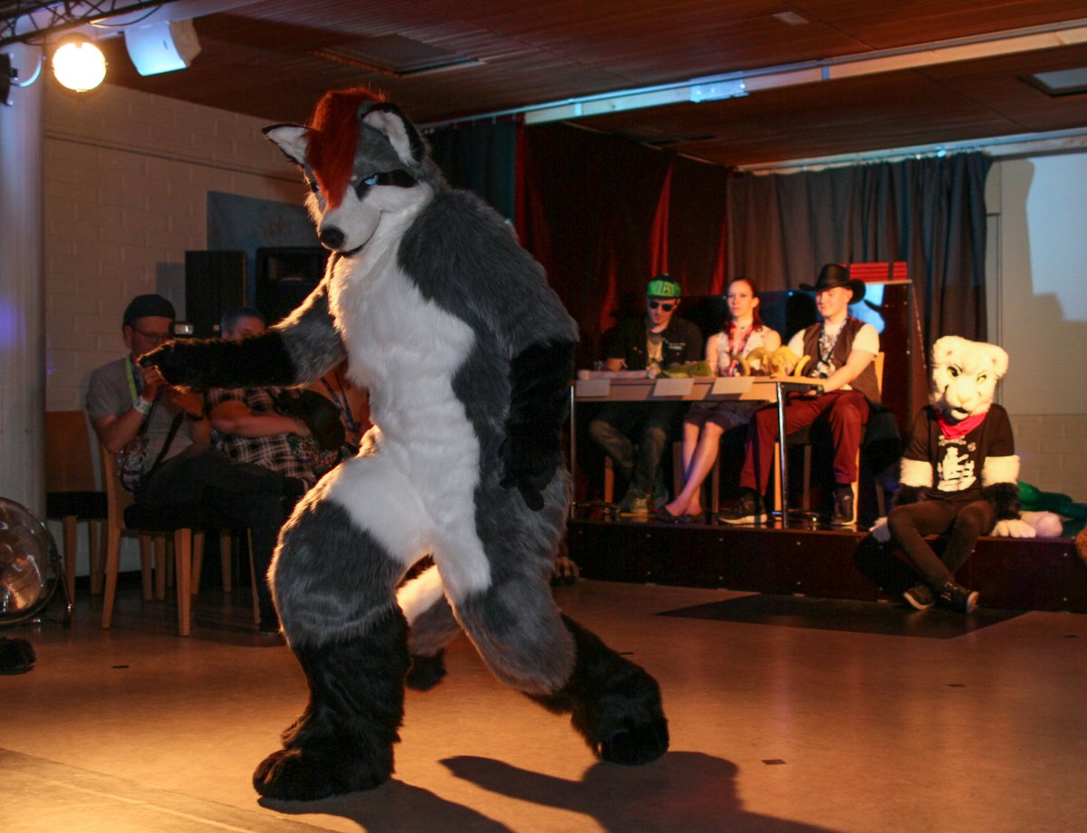 FinFur Animus 2017, Convention