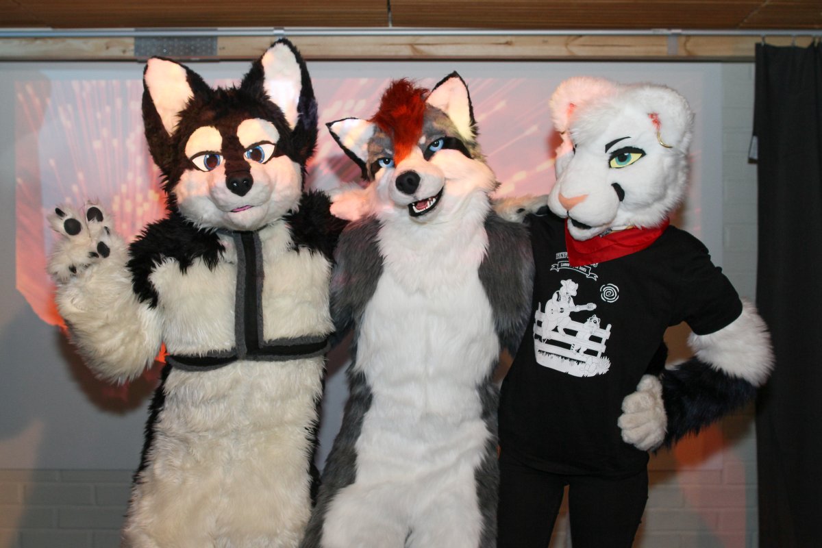 FinFur Animus 2017, Convention