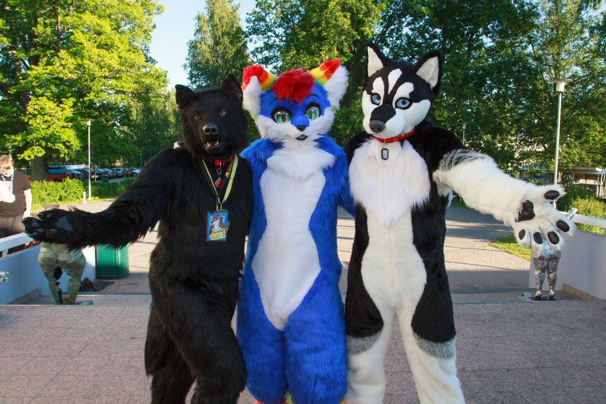 FinFur Animus 2017, Convention