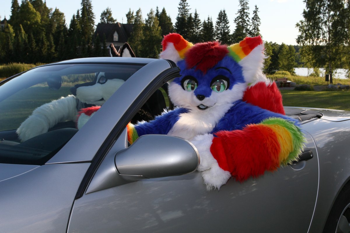 FinFur Animus 2017, Convention
