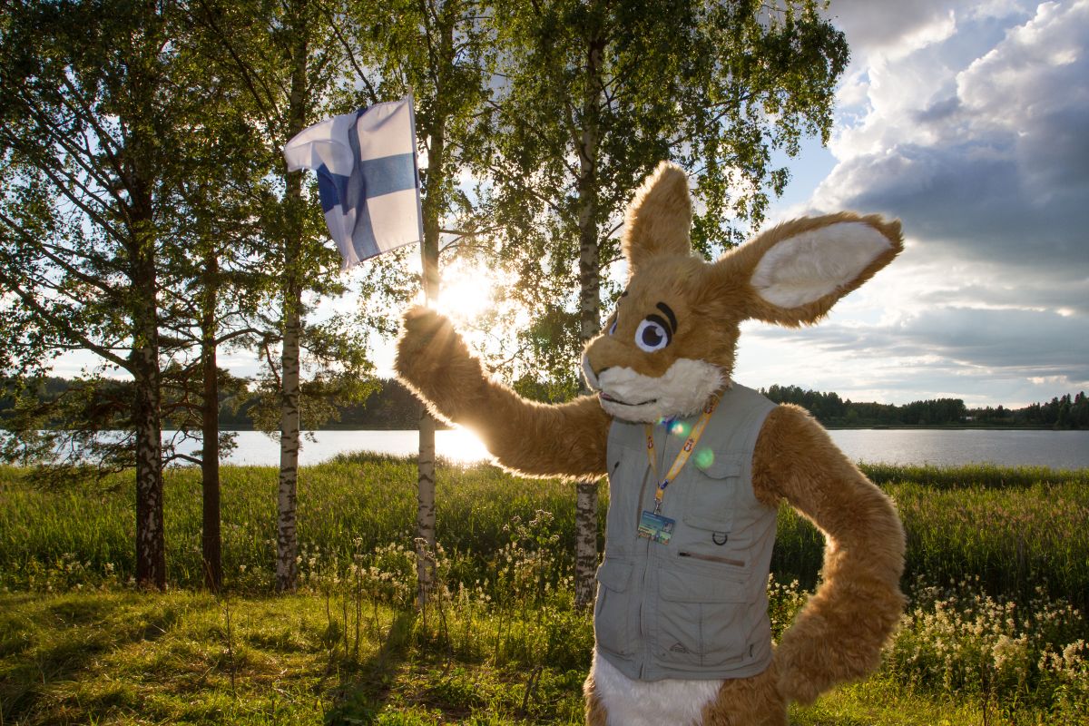 FinFur Animus 2017, Convention