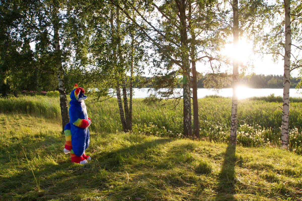 FinFur Animus 2017, Convention