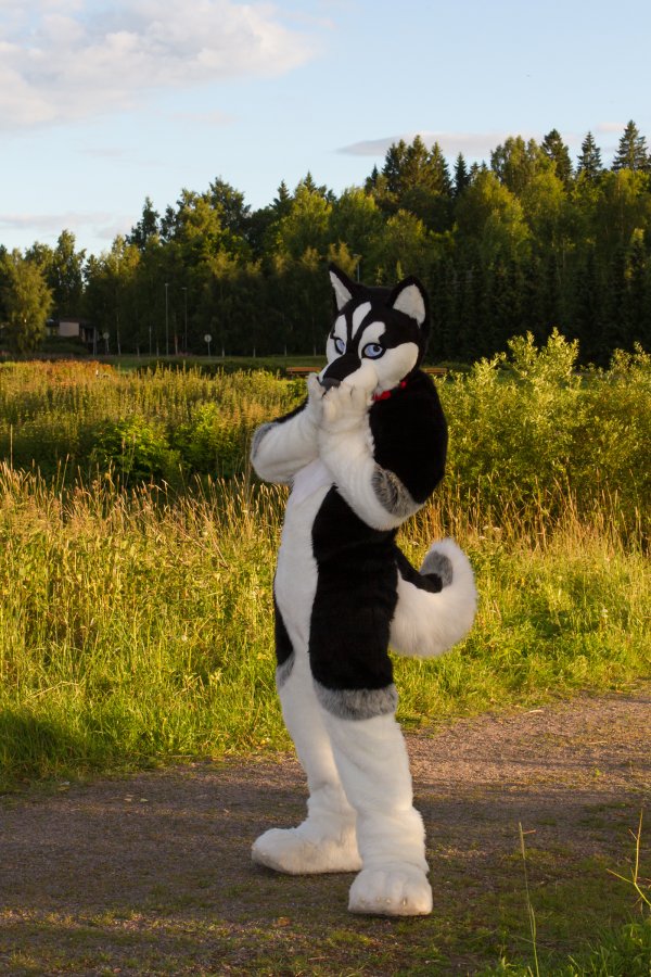 FinFur Animus 2017, Convention