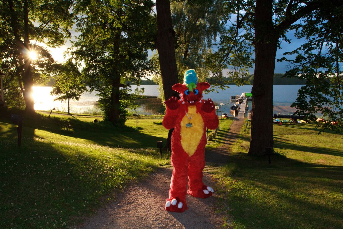 FinFur Animus 2017, Convention