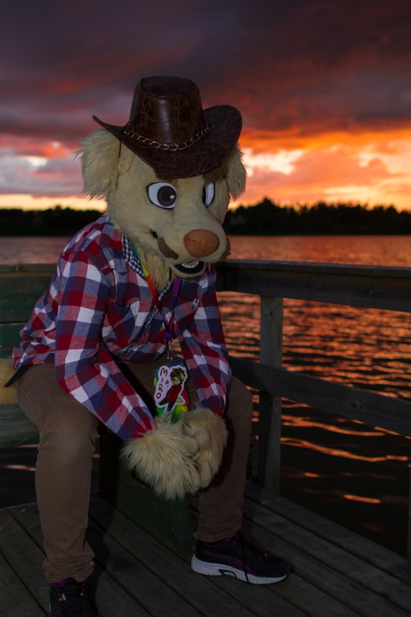 FinFur Animus 2017, Sunsets