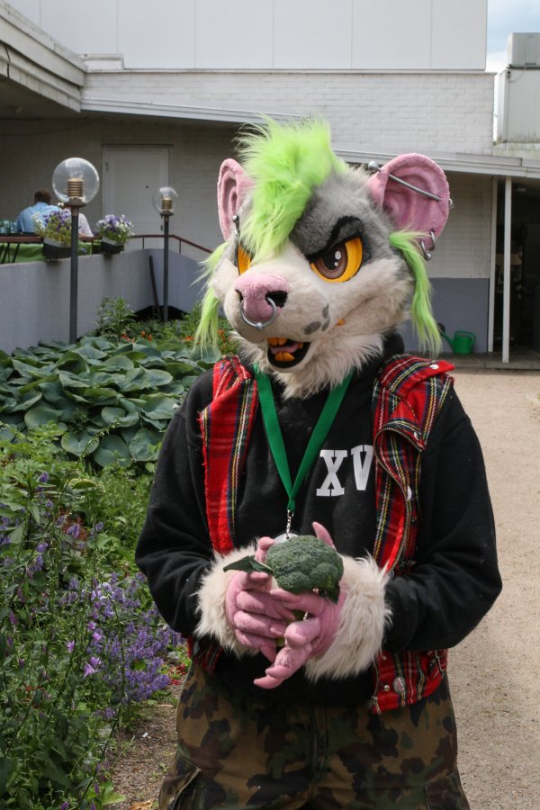FinFur Animus 2017, Convention