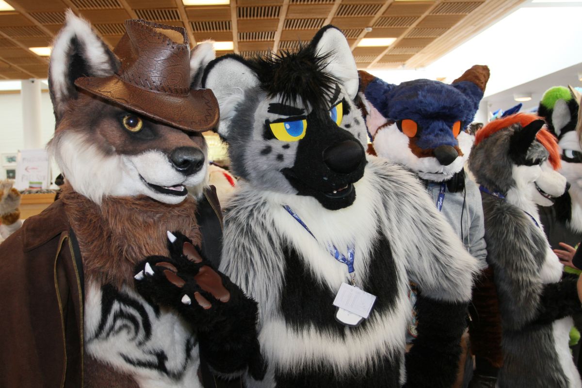 FinFur Animus 2017