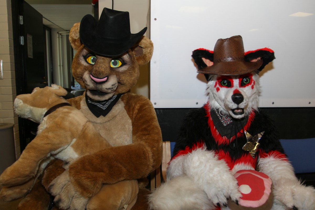FinFur Animus 2017, Convention