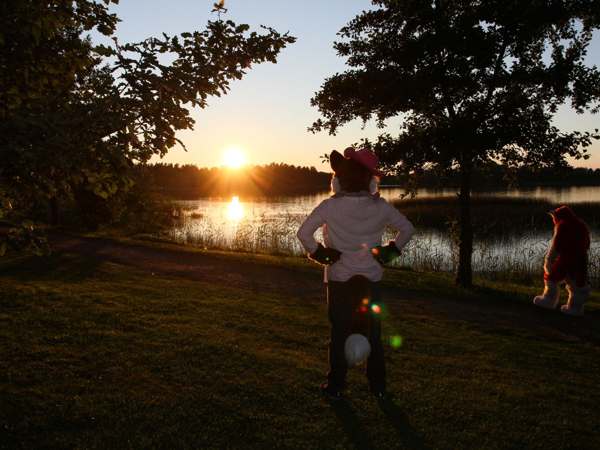 FinFur Animus 2017, Sunsets