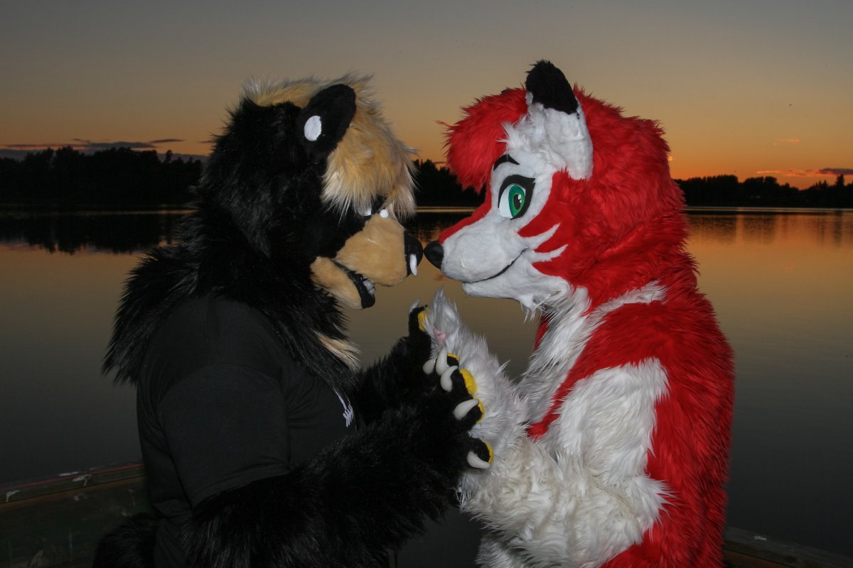 FinFur Animus 2017, Sunsets
