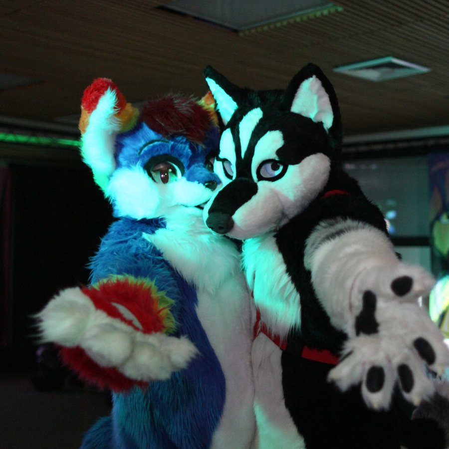 FinFur Animus 2017, Convention