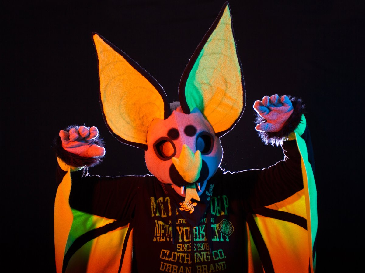 FinFur Animus 2018, Photoshoot