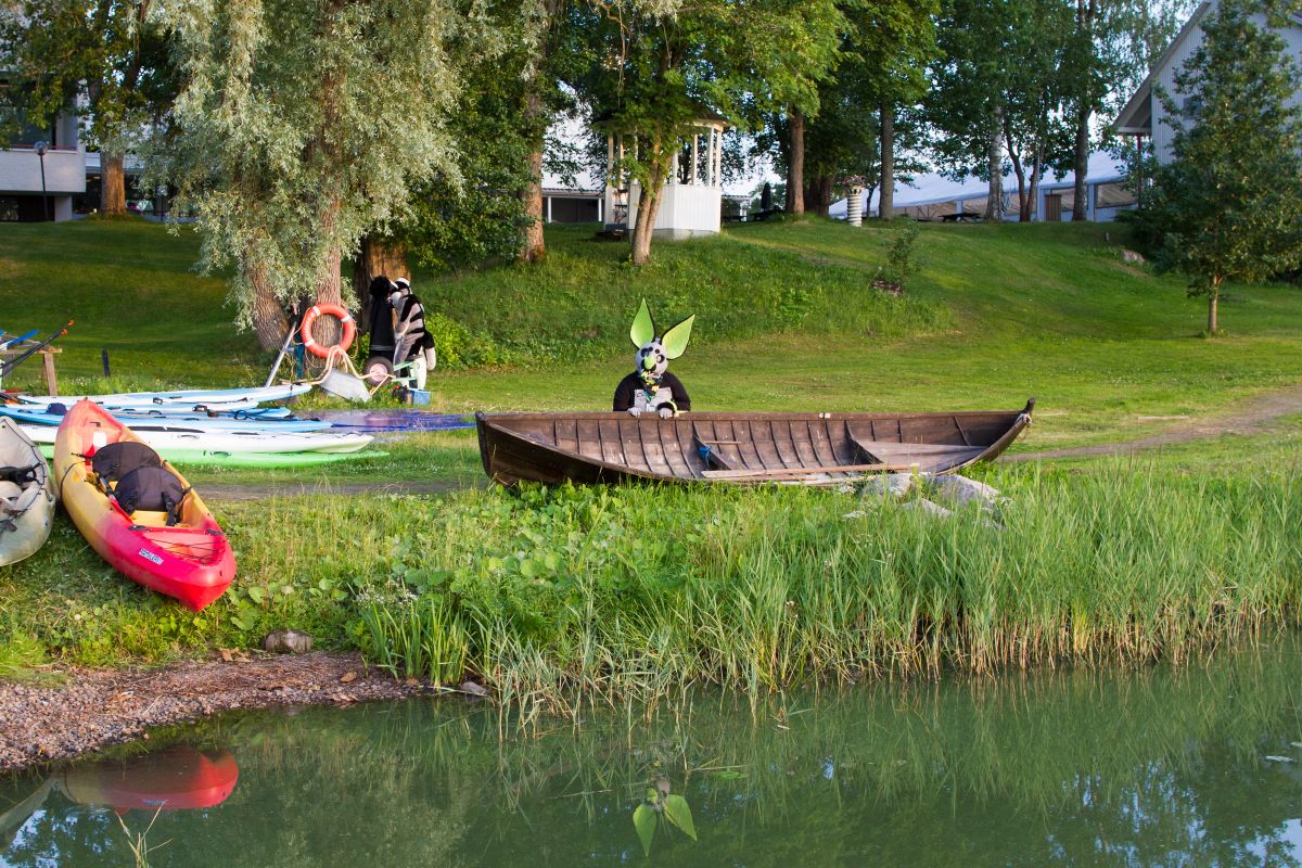 FinFur Animus 2018, Fursuits
